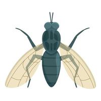Tsetse fly icon cartoon vector. Africa insect vector