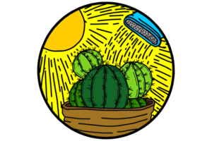 gieter cactus in potten gedurende de dag png