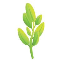 Sage plant icon cartoon vector. Herb leaf vector