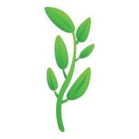 Sage basil plant icon cartoon vector. Aromatic herb vector