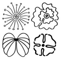 Sketch doodle outline flowers. Hand drawn drawing of plant buds during flowering. Petal silhouettes. Isolated vector. vector