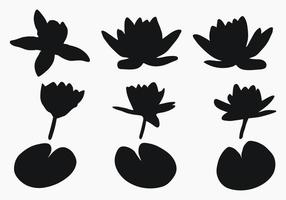 Real modern silhouettes plants, herbs. Drawing flowers water lily, nymphaea. Flat design art design template. vector