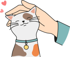 Hand caress cute cat png