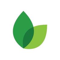 Green leaf logo vector