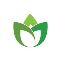 Green leaf logo vector