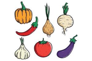 doodle vegetables collection with pumpkin, tomato and radish vector