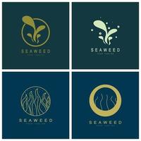 Seaweed vector logo icon illustration design.includes seafood,natural products,florist,ecology,wellness,spa.