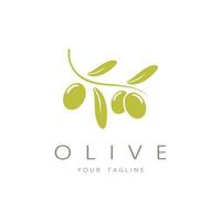 leaf plant logo and natural olive fruit .Herbal,olive oil,cosmetics or beauty,business,cosmetology,agriculture,ecology concept,spa,health,yoga center,vector vector