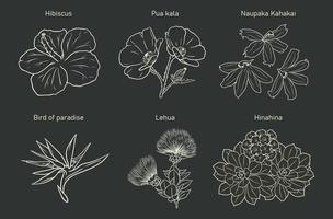 Set of various types of flowers from Hawaii vector