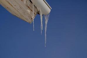 Spring drops falls down from long crystal melting icicles hanging down before clear blue sky on bright sunny thaw day. The concept of the beginning of spring, the end of winter, thaw. photo