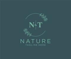 initial NT letters Botanical feminine logo template floral, editable premade monoline logo suitable, Luxury feminine wedding branding, corporate. vector