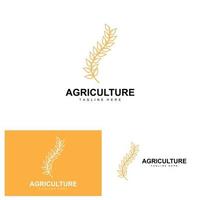 Rice Logo, Agriculture Design, Vector Wheat Rice Icon Template Illustration