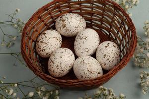Pastel Easter eggs background. Spring greating card. Easter eggs in basket photo