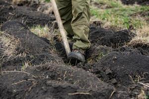 un fila de plántulas en negro el plastico contenedores con uno de ellos siendo plantado en el suelo. un pequeño árbol es siendo plantado en un pila de suelo. foto