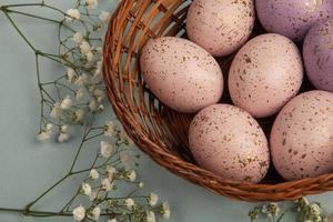 Pastel Easter eggs background. Spring greating card. Easter eggs in basket photo