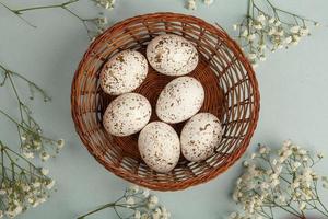 Pastel Easter eggs background. Spring greating card. Easter eggs in basket photo