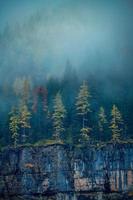 Autumn trees standing in the fog on a cliff photo