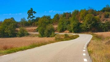 asfalto la carretera mediante campos y prados en un soleado verano día foto