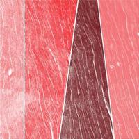 red wooden background vector