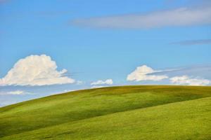 el sin fin, verde kalajun pradera en Xinjiang foto