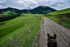 Qiongkushtai is a secret garden and a small Kazakh village in Xinjiang. photo