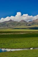 The beauty of Swan Lake in Bayanbulak, Xinjiang photo