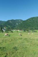 Landscape in Sankt Ulrich am Pillersee,Tirol,Austria photo