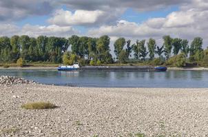 Cargo Ship while low water at Rhine River,North Rhine Westphalia,Germany photo