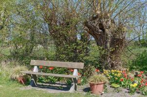 idyllic resting Place at Rhine River in lower Rhine region ,Germany photo