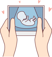 Future mother hold scan of embryo png