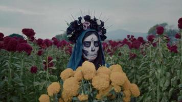Holiday, Day Of The Dead, Mexico, Looking At Camera video