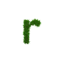 Green grass lower letters. 3d illustration png