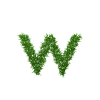 Green grass lower letters. 3d illustration png