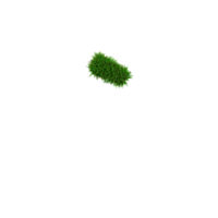 groen gras aantal en symbool, 3d illustratie png