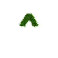 groen gras aantal en symbool, 3d illustratie png