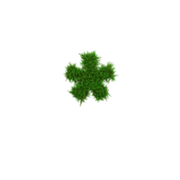 Grün Gras Nummer und Symbol, 3d Illustration png