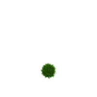 groen gras aantal en symbool, 3d illustratie png