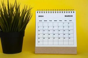 March 2024 month calendar with table plant on yellow cover background. Monthly calendar concept photo