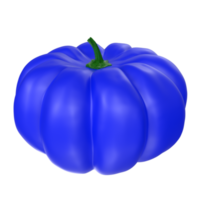 zucca isolato su trasparente png