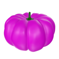 Pumpkin isolated on transparent png