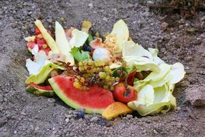 Doméstico residuos para compost desde frutas y vegetales en jardín. foto