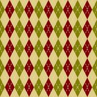 beautiful seamless geometric pattern with argyle vector