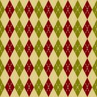 beautiful seamless geometric pattern with argyle vector