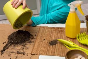 children's hands pour the earth from a ceramic pot, next to the table are garden tools, pumpkin seeds, planting seedlings photo