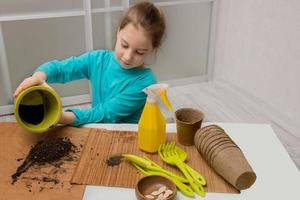 cute little girl sitting at the table with gardening tools and pouring earth from the pot to prepare for planting pumpkin seeds, seedlings photo