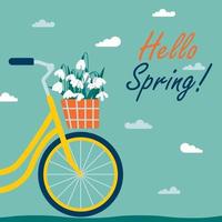 Cute greeting card Hello spring. Bright bicycle with  basket of snowdrops. First spring flowers. Delicate flowers of snowdrops for your design. Vector illustration