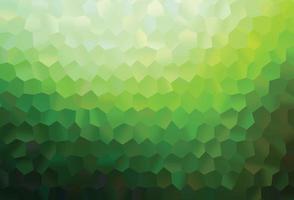 Light Green vector layout with hexagonal shapes.