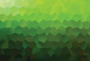 Light Green vector pattern with colorful hexagons.