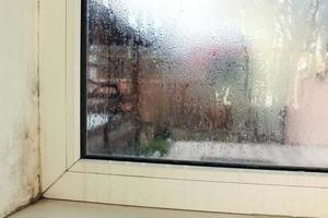 molde cerca un ventana en casa. condensación en ventana. foto