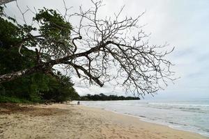 Scenic coastal view photo